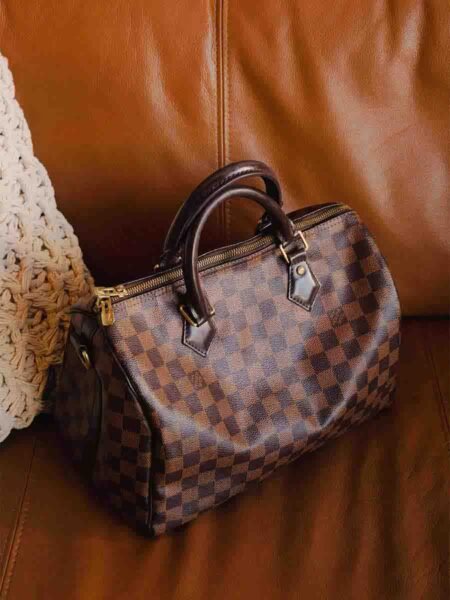 Louis Vuitton Canvas Damier Ébène Speedy 30